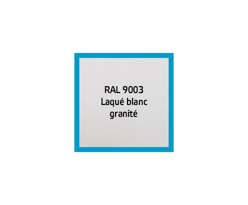 ral_9003_blanc_1038995624